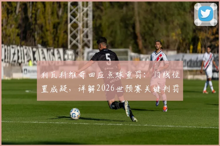 利瓦科维奇回应点球重罚:门线位置成疑,详解2026世预赛关键判罚如何改变比赛走向